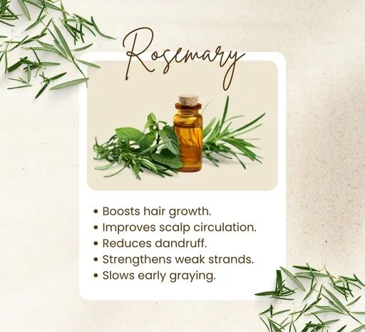rosemary oil benefits for hair